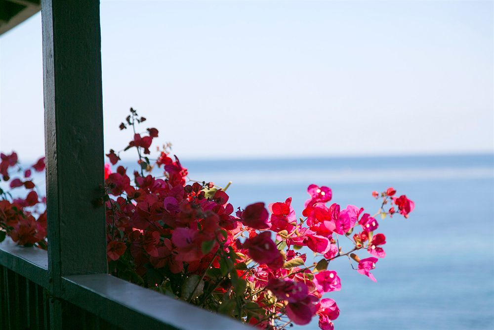 Scripps Inn San Diego Bagian luar foto